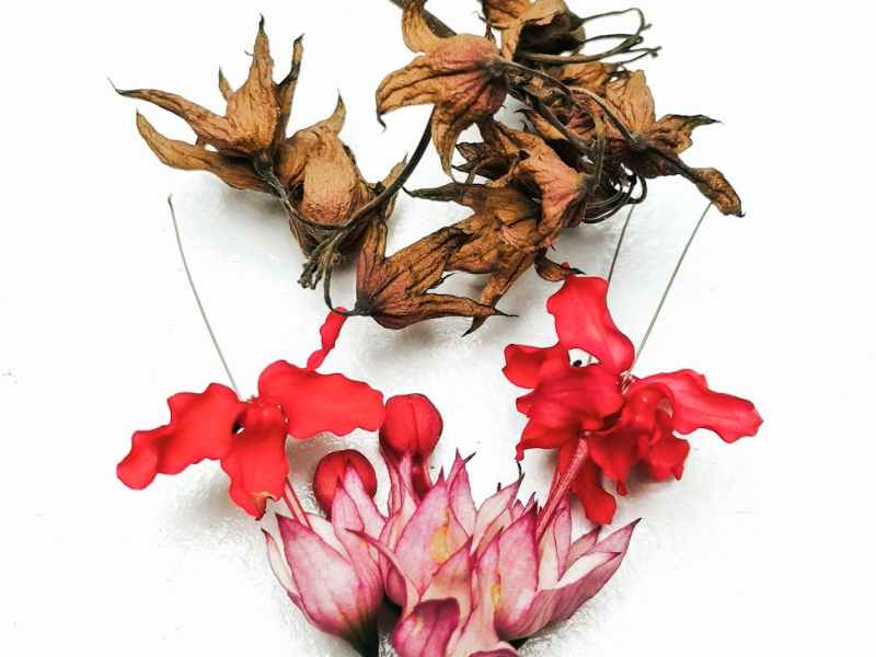 Generations of Widowhood