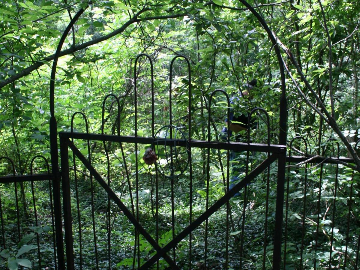 Discovering Jeremiah