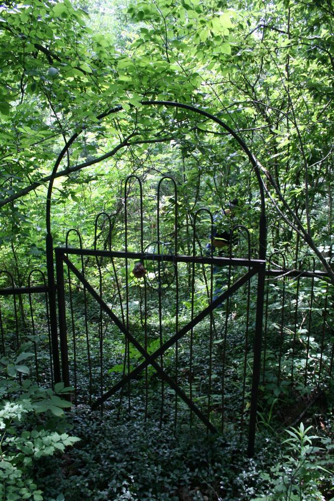 wooded dense area with gate 